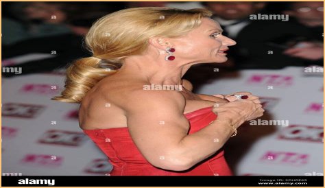 All About Nicollette Sheridan: A Television Icon