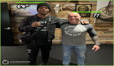 Unveiling Joe Rogan's Height: Discoveries And Insights